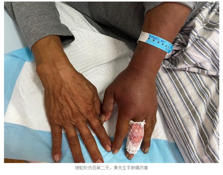 屏幕截图 2021-03-25 160328.png